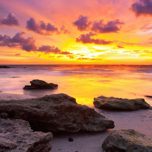 Meet your Posher, Georgia